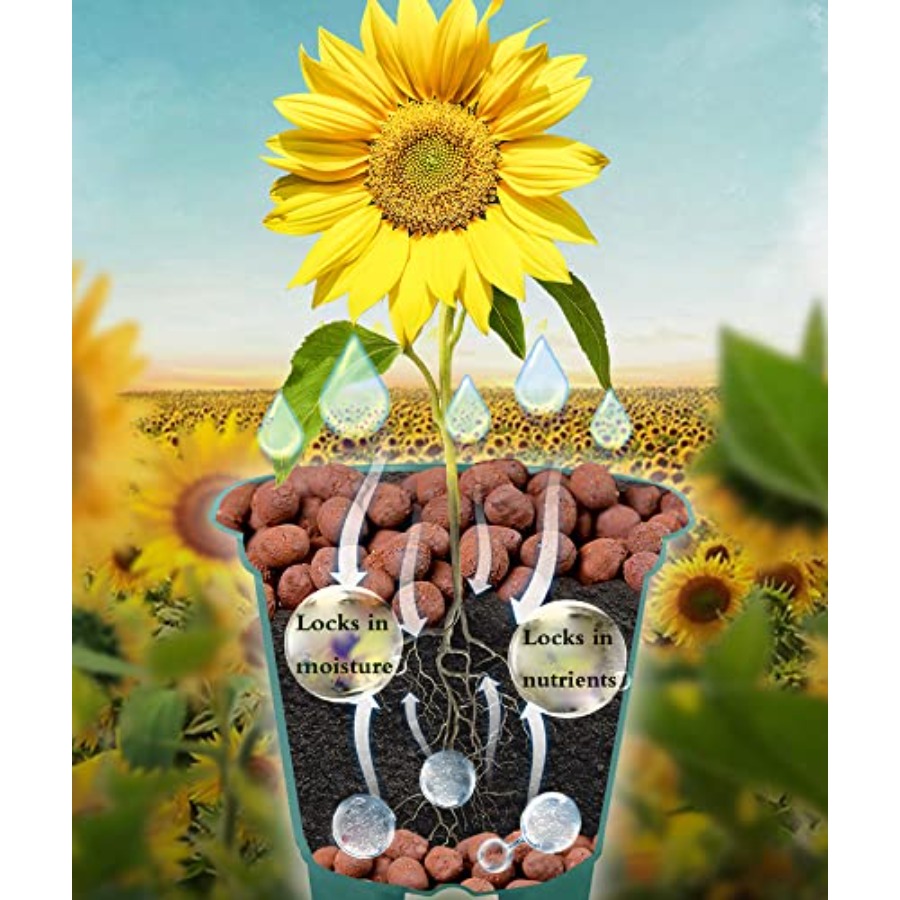 Voulosimi Clay Pebbles Hydropo - مراجعة Clay Pebble Growing وسعره