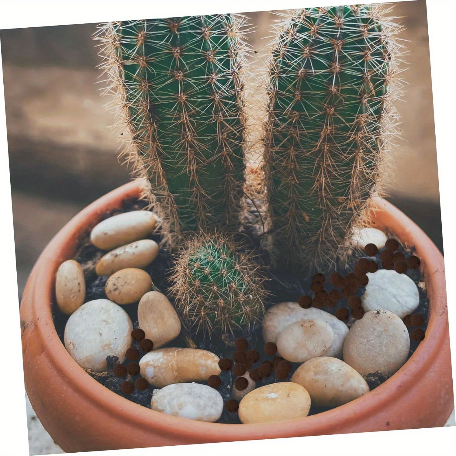 450-500g Aquarium Hydroponic C - مراجعة Clay Pebble Growing وسعره