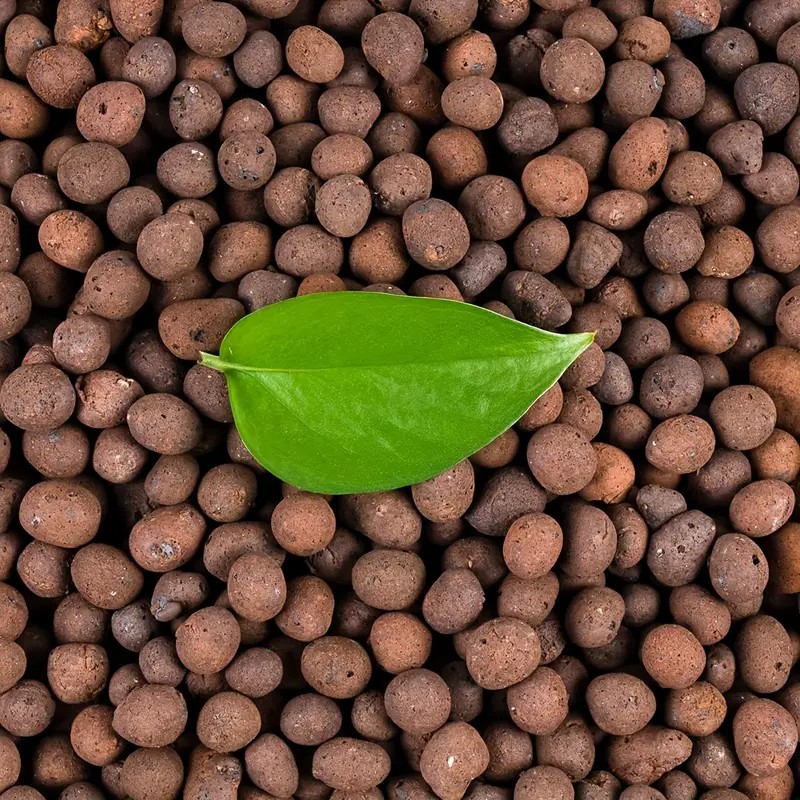 1LB Reusable Hydroponic Clay P - مراجعة Clay Pebble Growing وسعره