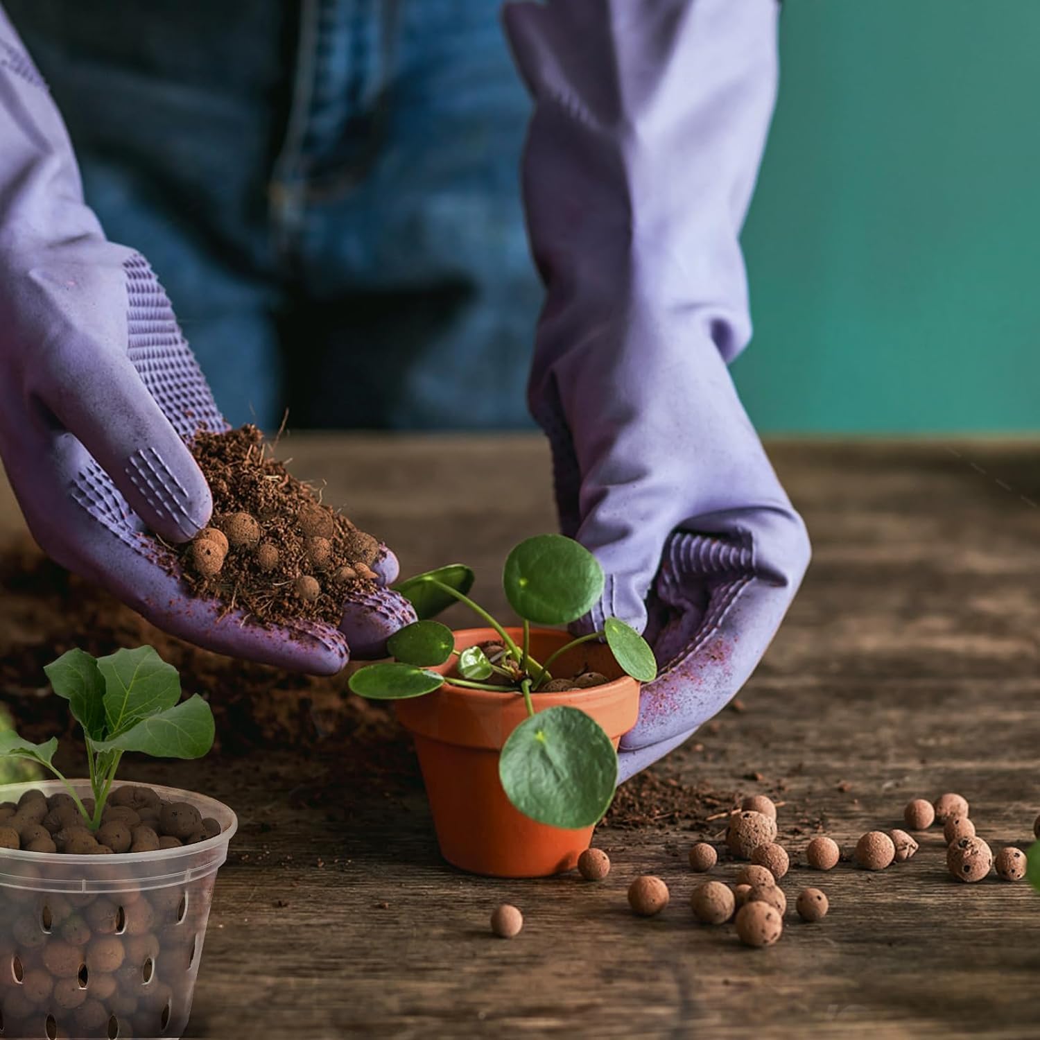 2L/1L Organic clay balls, Flow - مراجعة Clay Pebble Growing وسعره