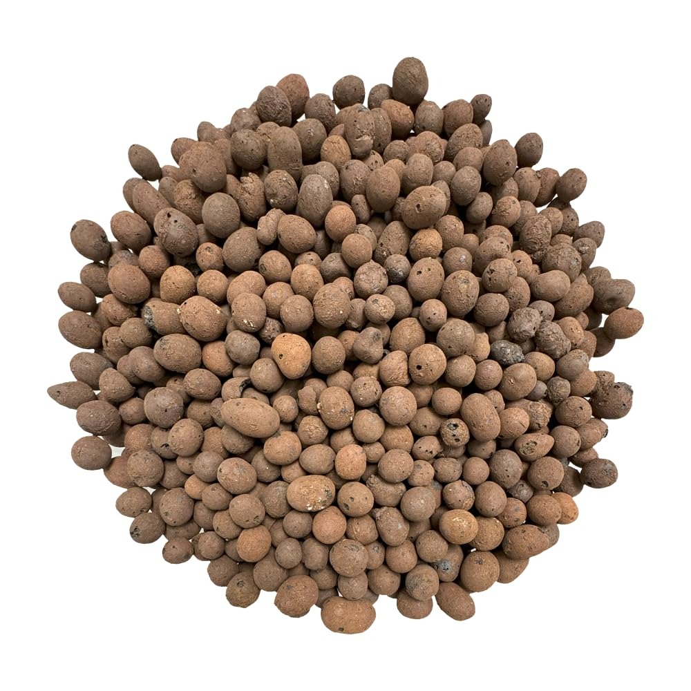 US Shipping Expanded Clay Pebb - مراجعة Clay Pebble Growing وسعره