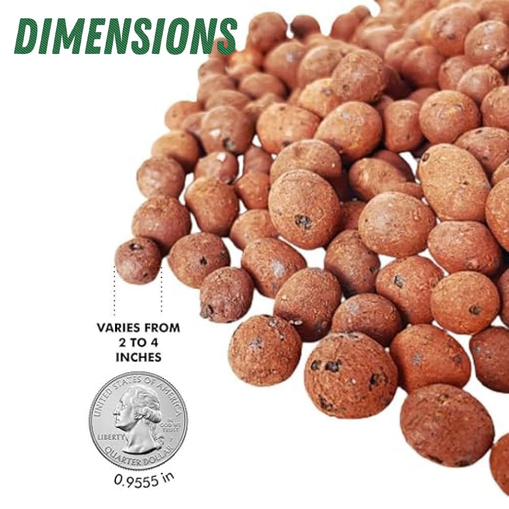 US Shipping Expanded Clay Pebb - مراجعة Clay Pebble Growing وسعره