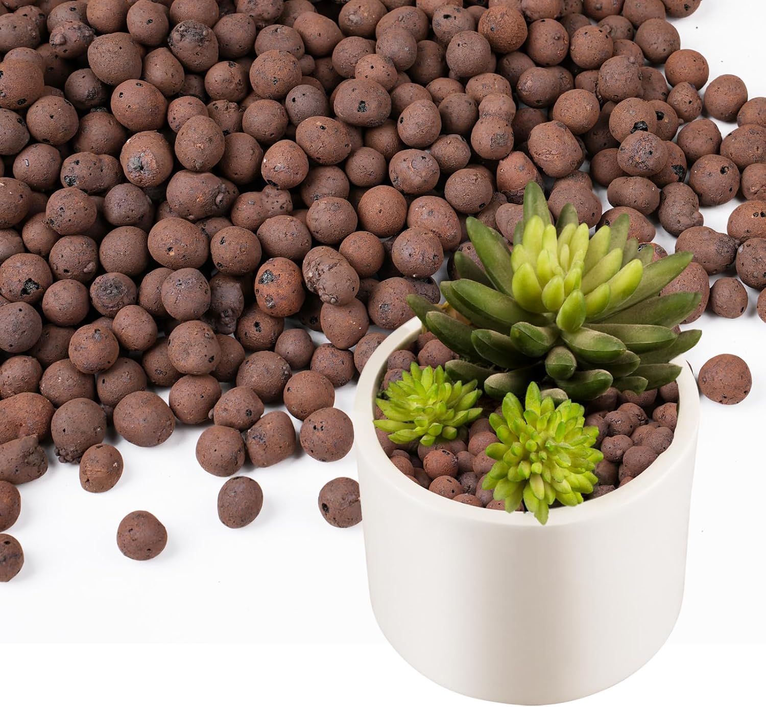 100/200G Clay Pebbles for Plan - مراجعة Clay Pebble Growing وسعره