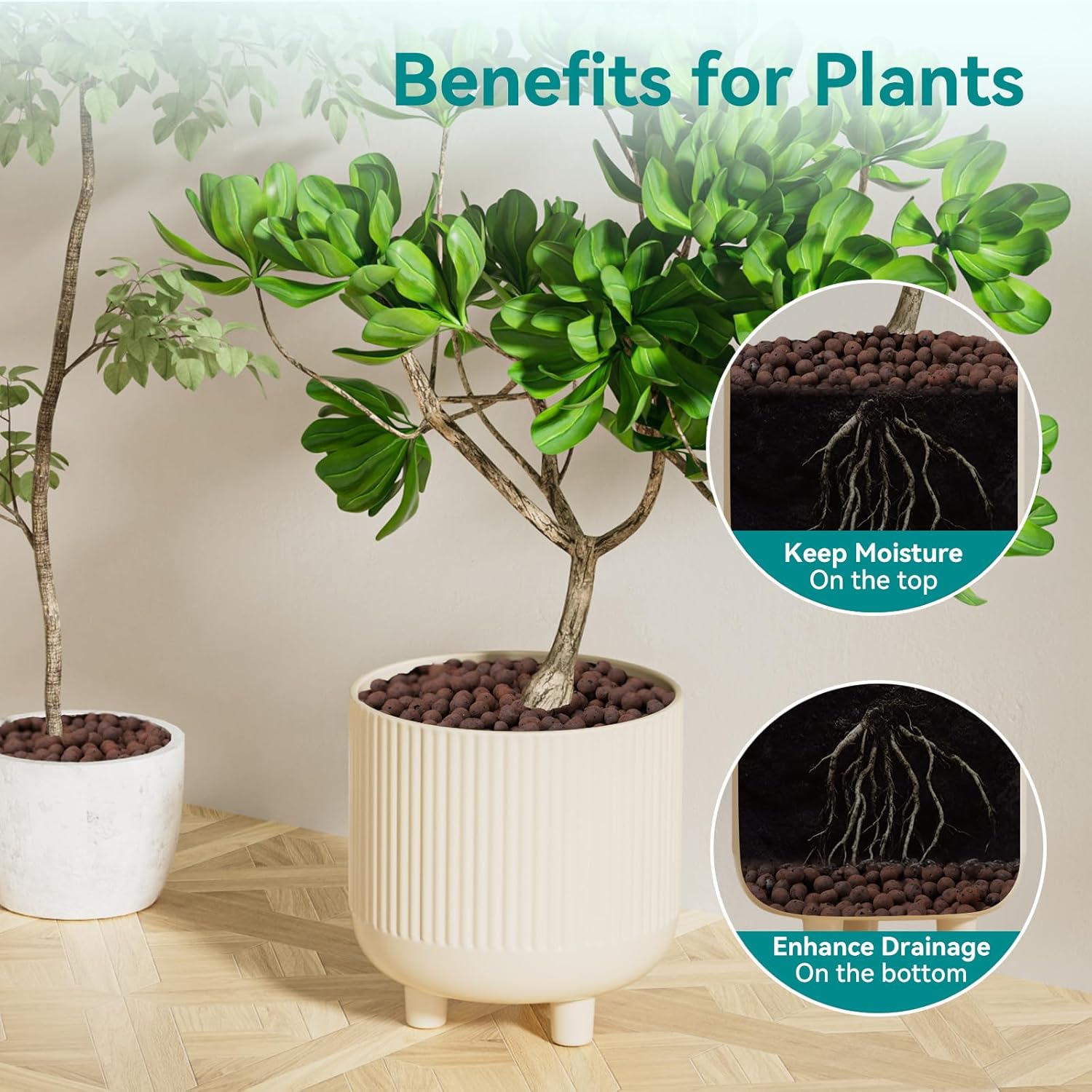100/200G Clay Pebbles for Plan - مراجعة Clay Pebble Growing وسعره