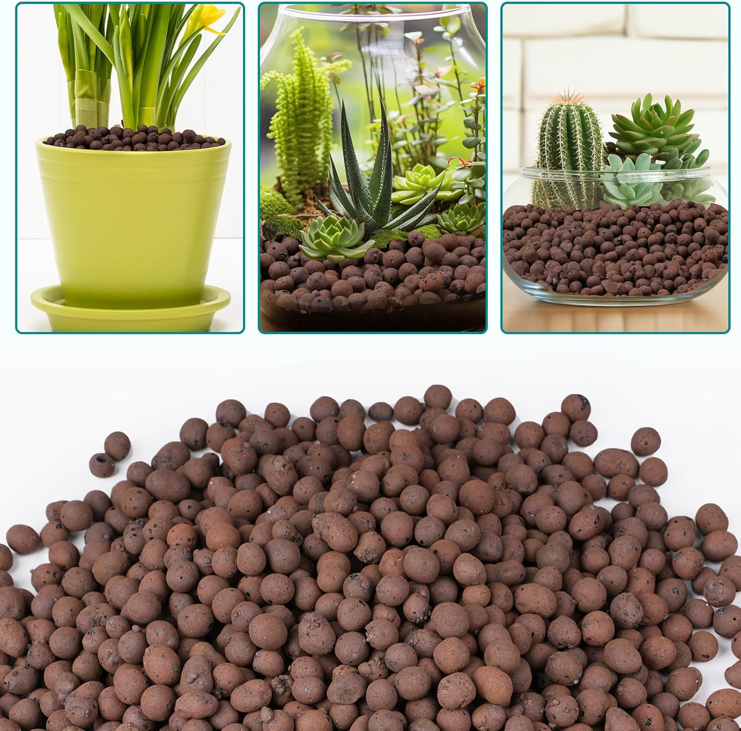100/200G Clay Pebbles for Plan - مراجعة Clay Pebble Growing وسعره