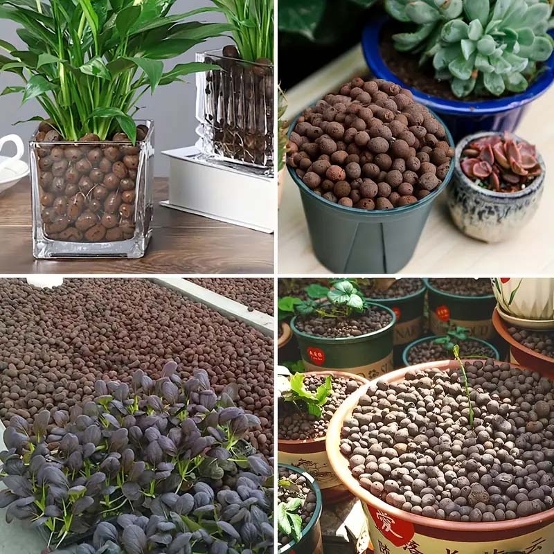 100/200G Clay Pebbles for Plan - مراجعة Clay Pebble Growing وسعره