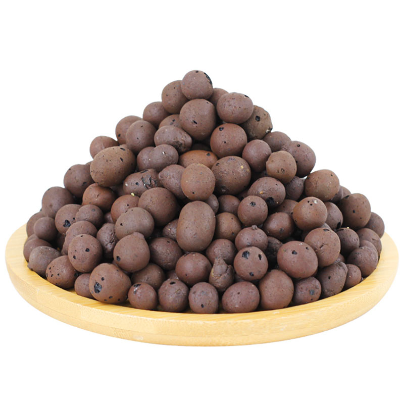 500g Organic light ceramsite C - مراجعة Clay Pebble Growing وسعره