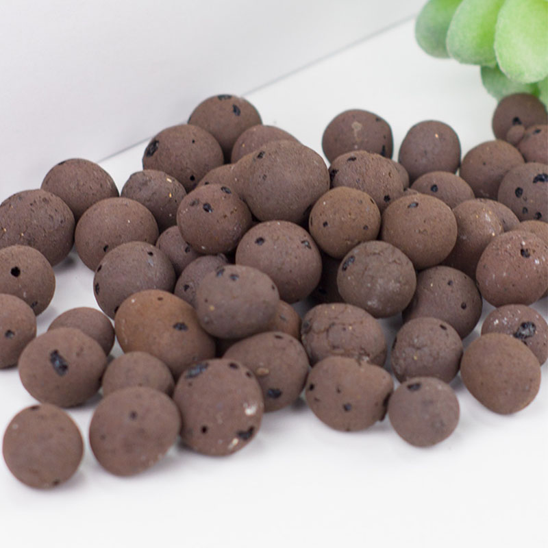 500g Organic light ceramsite C - مراجعة Clay Pebble Growing وسعره