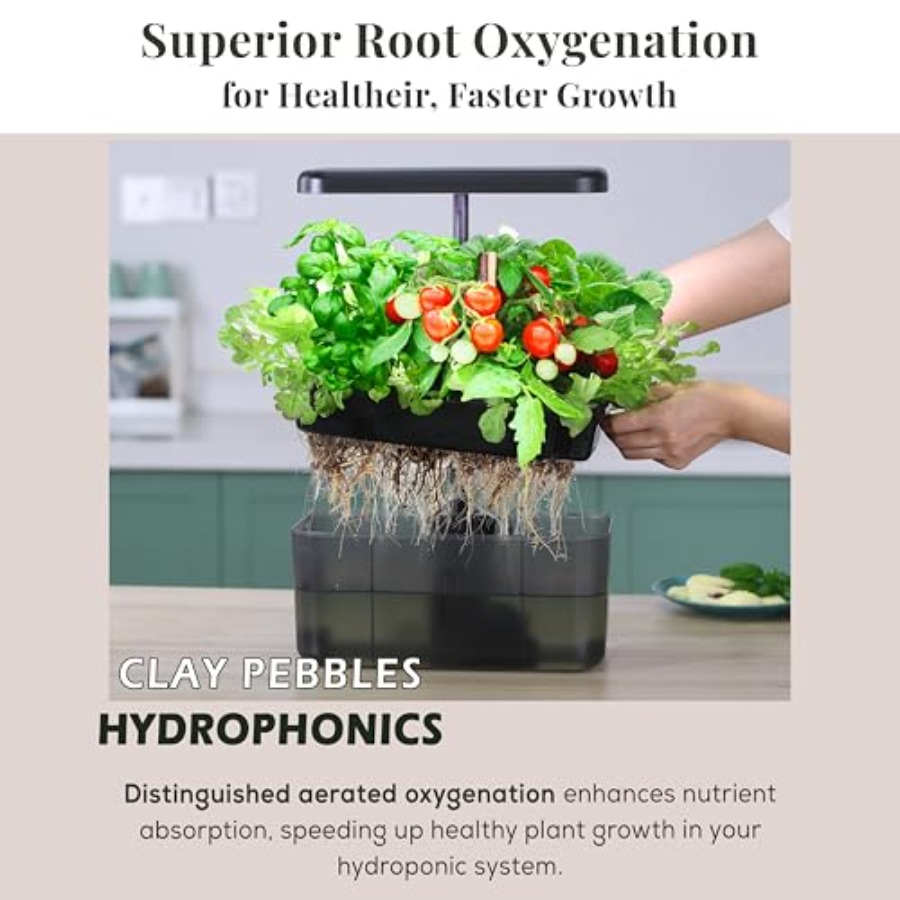 Indoor Herb Garden Kit with Cl - مراجعة Clay Pebble Growing وسعره