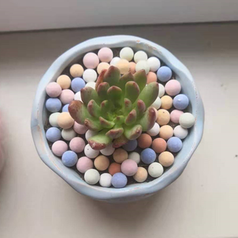 Solid Ceramsite Expanded Clay  - مراجعة Clay Pebble Growing وسعره