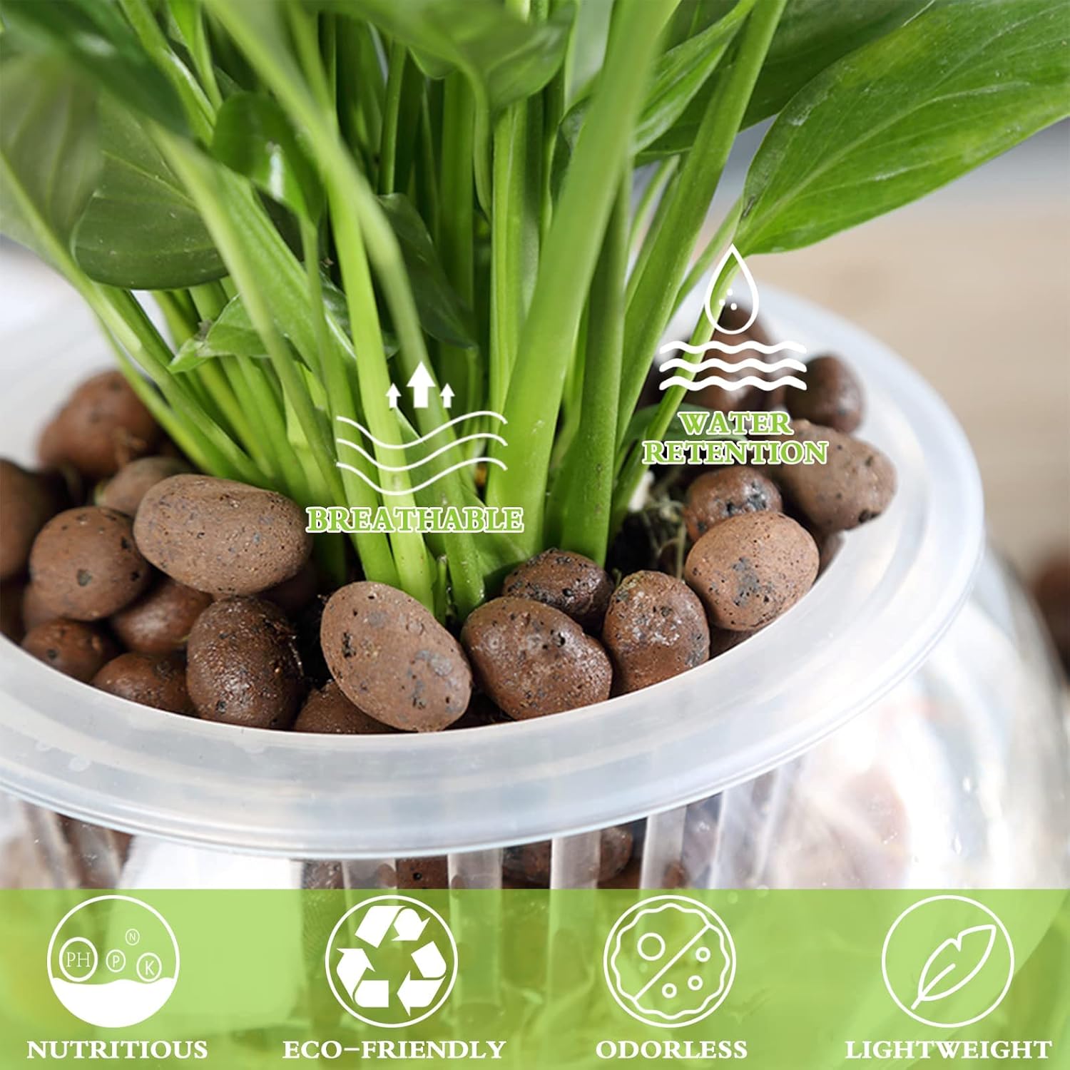 1L Organic Clay Pebbles 100% N - مراجعة Clay Pebble Growing وسعره