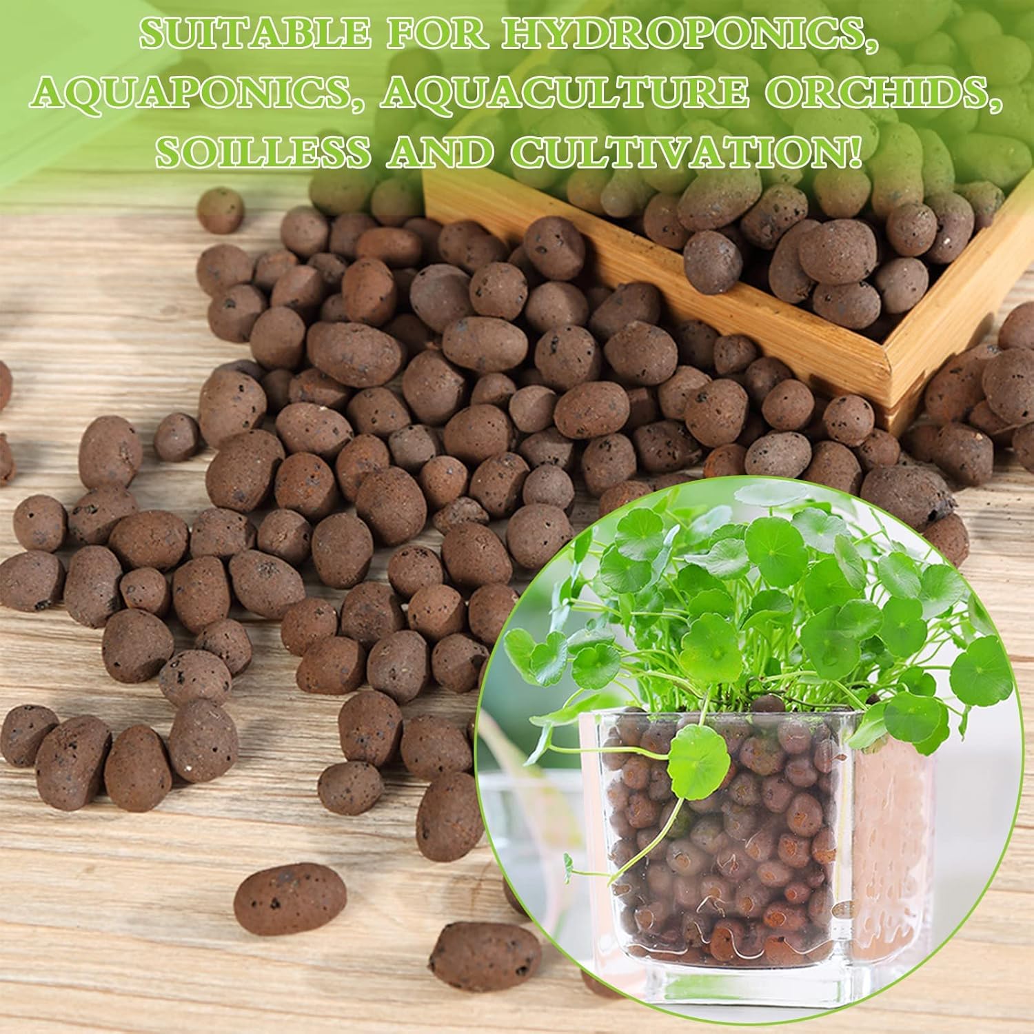 1L Organic Clay Pebbles 100% N - مراجعة Clay Pebble Growing وسعره
